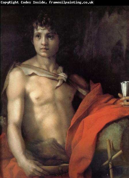 Andrea del Sarto Johannes as juvenile